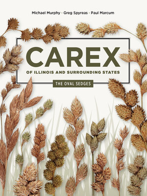 cover image of Carex of Illinois and Surrounding States